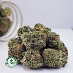 Buy Cannabis Greasy Pink AAAA at MMJ Express Online Shop