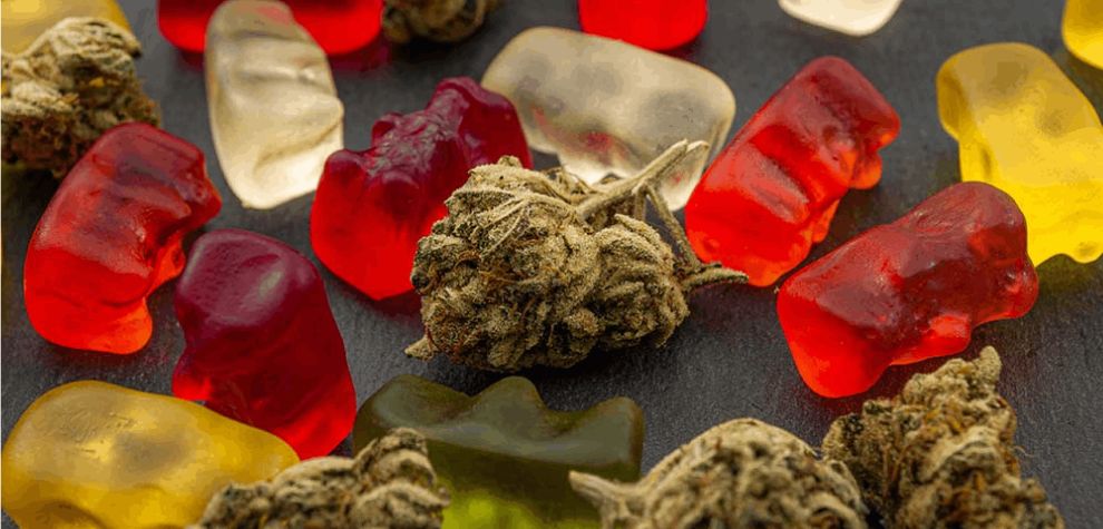 First things first: What is edible weed and why should you consider getting some from a reliable online pot store like MMJ Express? Here's the tea.