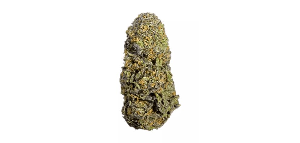 Gorilla Glue strain is also known for its interesting flavour profile, which combines the earthy, sour notes of Sour Dubb with the chocolate and diesel flavours of Chocolate Diesel. 