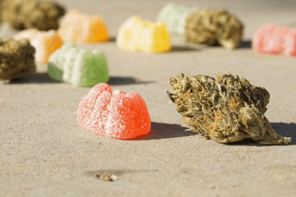 This guide features the best THC gummies recipe on the internet & the benefits of cannabis edibles. So, how to make THC gummies with distillate?