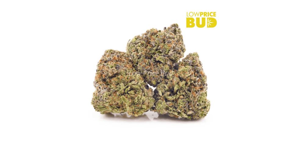 Named after the former heavyweight champion, this Mike Tyson indica strain is the ultimate knockout bud, and is now available at LowPriceBud for the lowest price guaranteed. 