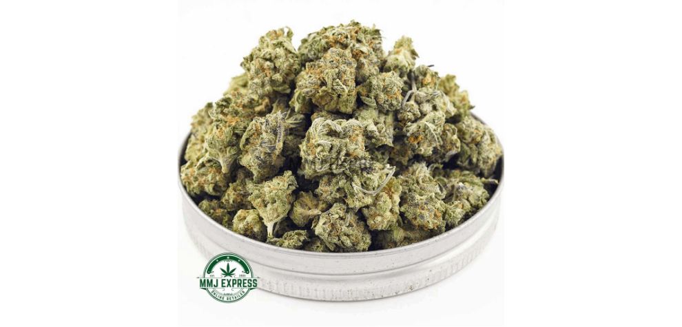 The Pineapple Express AAAA (Popcorn Nugs) is one of MMJ Express's most popular Sativa leaning strains, and here's why. 