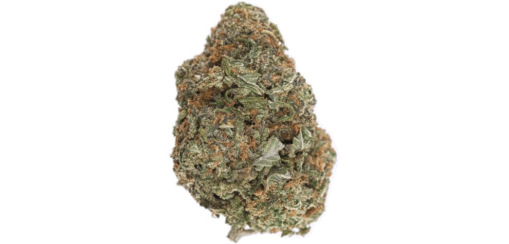 Pineapple Nuken is a potent hybrid marijuana strain with fluffy, round buds and a unique, exotic terpene profile.