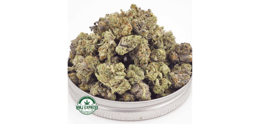 The Pink Death AAAA (Popcorn Nugs) is an Indica-dominant hybrid strain (80:20 Indica to Sativa ratio) with a THC content of around 27 percent. 
