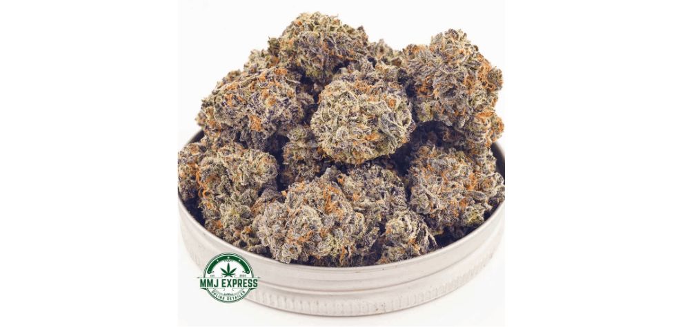 Purple Trainwreck is a sativa-dominant hybrid made by crossing the legendary Granddaddy Purple with Trainwreck.