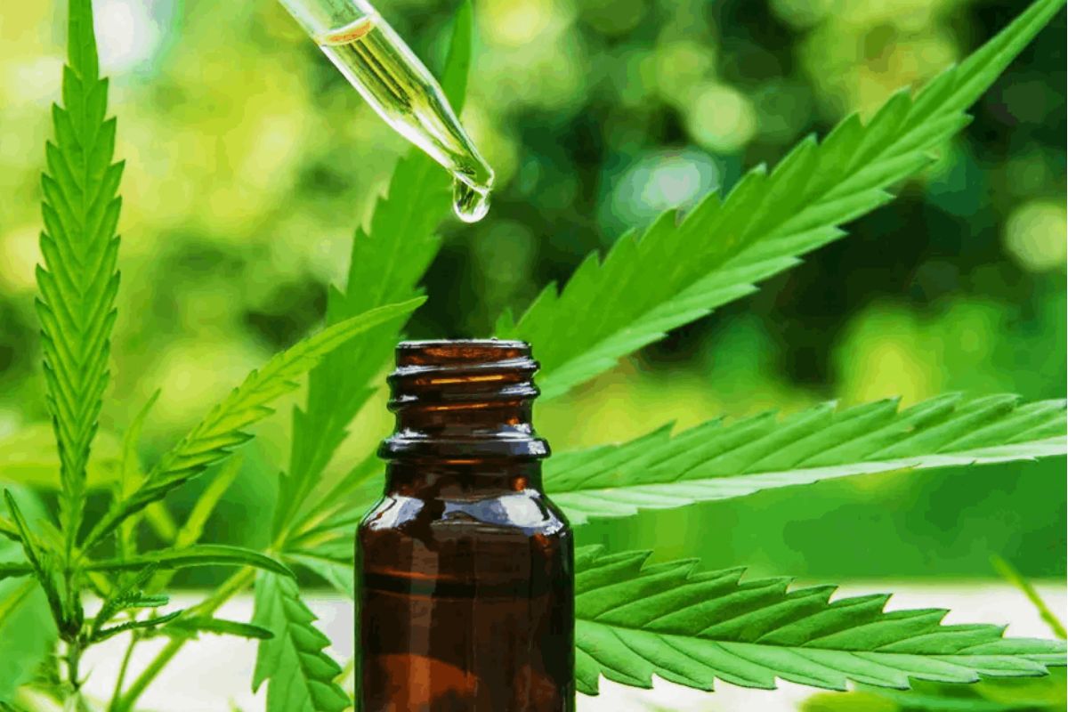 In this article, we will explore the benefits & the use of THC tinctures, who will enjoy them, & tips on how to choose the right tincture for your needs. 