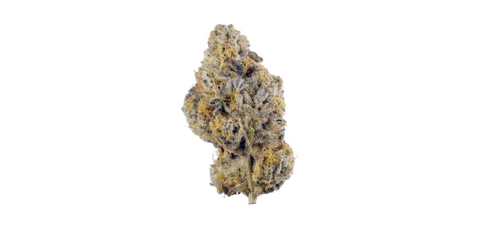 Wedding Cake strain THC level is an Indica-leaning hybrid cannabis strain (60:40 Indica to Sativa ratio), famous for its earthy and sweet vanilla flavours, not to mention its uplifting and relaxing effects. 