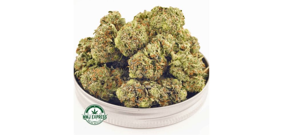 Looking for the highest quality Bruce Banner flower? This AAAA-grade Bruce Banner is available online at Canada's top online weed dispensary, MMJ Express. 