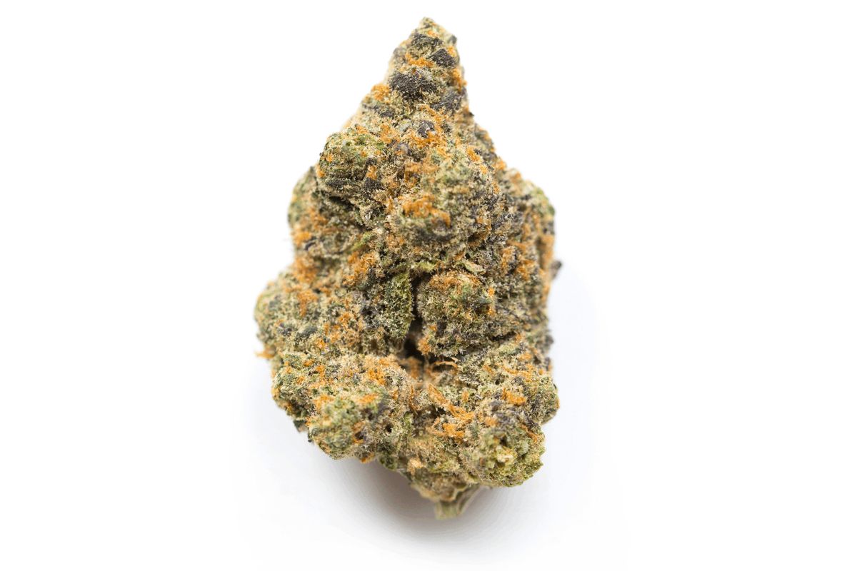 In this post, we tell you all there is to know about the Bruce Banner strain, including its effects, THC levels, aroma and effects. Keep on reading blog.