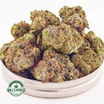 Buy Cannabis Pink Death Star AAAA+, Craft at MMJ Express Online Shop