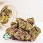 Buy Cannabis Pink Death Star AAAA+, Craft at MMJ Express Online Shop
