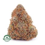 Buy Cannabis Tangerine Cookies AAA at MMJ Express Online Shop