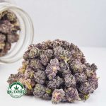 Buy Cannabis Vanilla ICE AAAA+ (Popcorn Nugs) at MMJ Express Online Shop