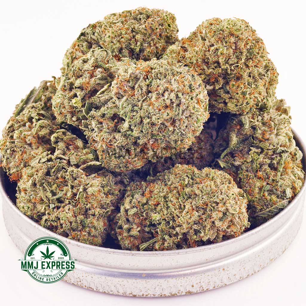 Buy Cannabis Girl Scout Cookies AAA at MMJ Express Online Shop
