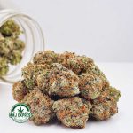 Buy Cannabis Bubba OG AAAA at MMJ Express Online Shop