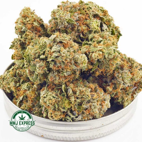 Buy Cannabis Blueberry Kush AAAA at MMJ Express Online Shop