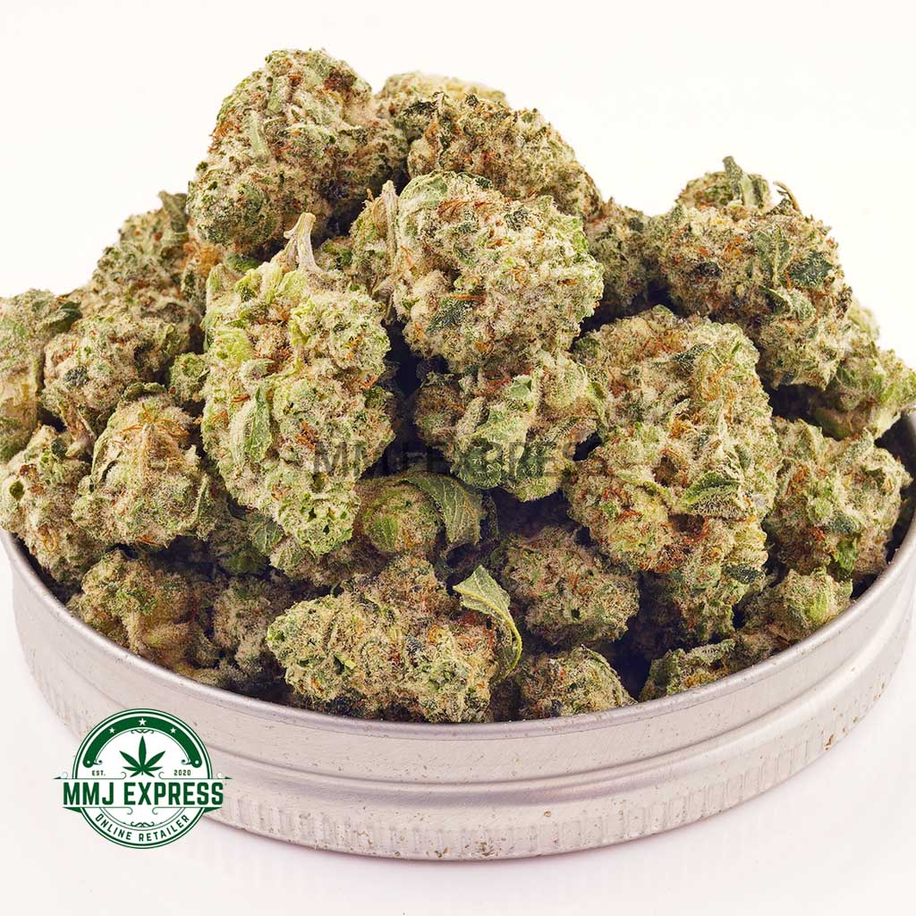 Buy Cannabis Island Skunk AAA (Popcorn Nugs) at MMJ Express Online Shop