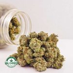 Buy Cannabis Island Skunk AAA (Popcorn Nugs) at MMJ Express Online Shop