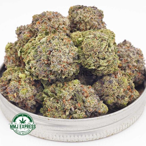 Buy Cannabis Blue Comatose AAAA at MMJ Express Online Shop