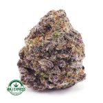 Buy Cannabis Frosty Gelato AAAA at MMJ Express Online Shop
