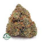 Buy Cannabis Black Gas AAAA MMJ Express Online Shop