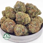 Buy Cannabis Black Gas AAAA MMJ Express Online Shop