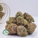 Buy Cannabis Black Gas AAAA MMJ Express Online Shop