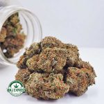 Buy Cannabis Pink Champagne AAA at MMJ Express Online Shop