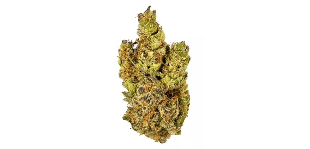 If you want to enjoy the benefits of the Purple Punch strain, but you are looking for something slightly different and fruitier, your search is over - check out the Banana Purple Punch strain.