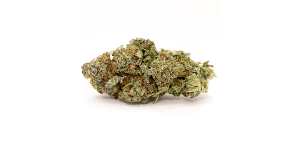 Bruce Banner is a big green bud known for its high THC levels and strong effects. It is named after Bruce Banner, the 'normal' alter ego of the comic legend 'The Incredible Hulk.' 