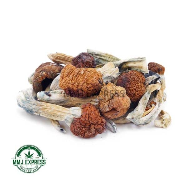 Buy Jedi Mindfuck Magic Mushrooms at MMJ Express Online Shop