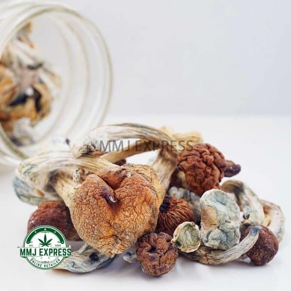 Buy Jedi Mindfuck Magic Mushrooms at MMJ Express Online Shop