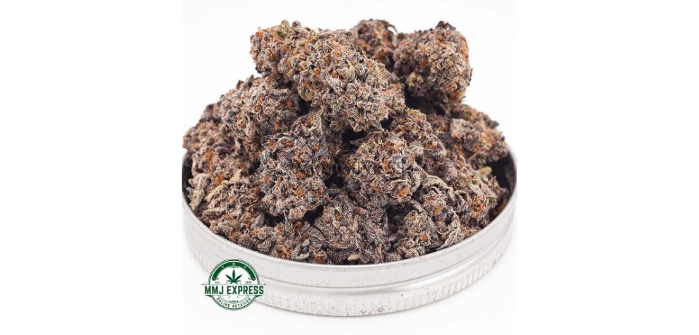 As mentioned before, the Granddaddy Purple AAA is a renowned Indica hybrid (70:30 Indica to Sativa ratio) with a THC content anywhere from 20 to 22 percent. 