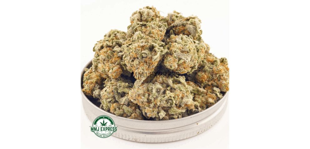 If you want to feel energized and focused, but you still crave the taste of skunky and fruity notes, you need to get Island Sweet Skunk AAA, a potent Sativa hybrid. 