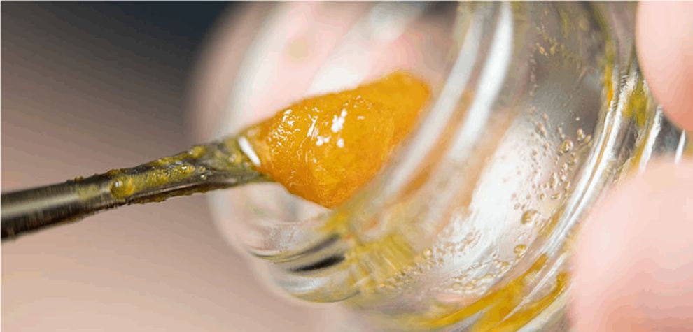 In extraction, live resin uses hydrocarbon solvents, whereas live rosin uses no solvent but is rather squeezed with pressure and heat.