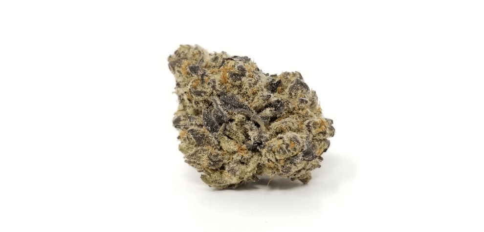 Here are some must-know facts about the Mimosa strain you need to be aware of before you purchase some from MMJ Express, Canada's best online weed store.
