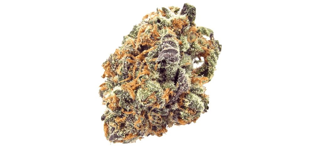 The Purple Mimosa strain is an impressive hybrid weed, and the child of the Purple Punch and Mimosa strains. 