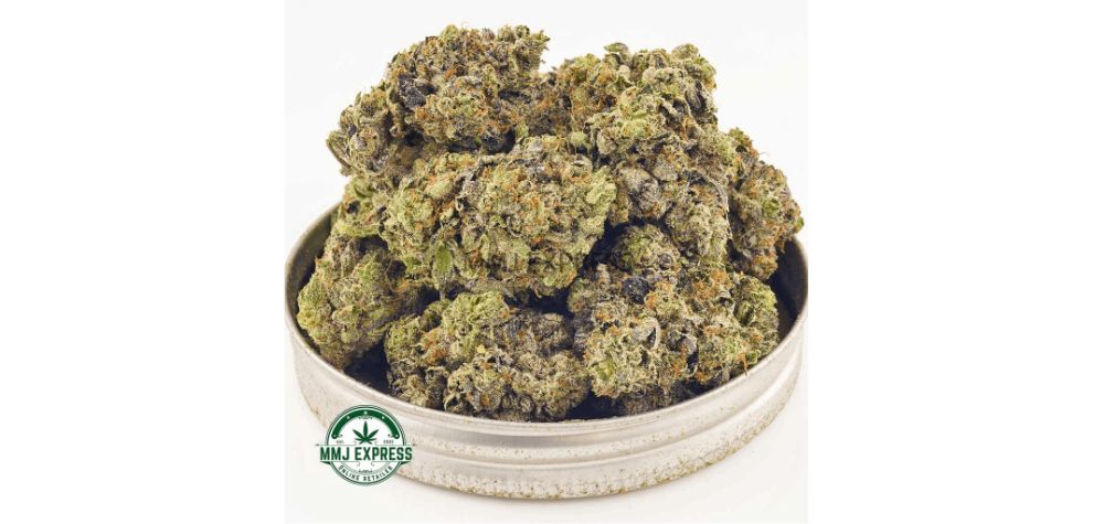 If you want the best weed deals, you got to take a look at Supreme Death Bubba AAAA+. For only $10, you'll feel high for hours! 