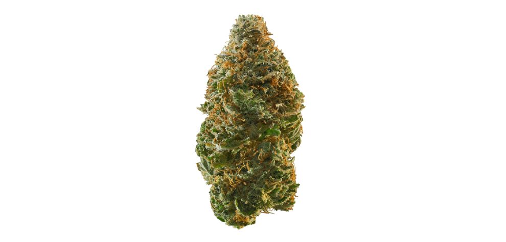 The Trainwreck strain is beloved for its invigorating cerebral effects, which are said to come on quickly and produce a delightful, euphoric high accompanied by a pleasant full-body buzz. 