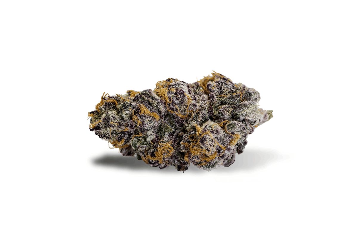 This article explains everything you must know about the Purple Punch strain, its THC content, terpene profile, flavours, aromas & beneficial effects.