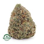 Buy Cannabis Citrique AAA at MMJ Express Online Shop