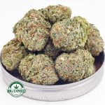 Buy Cannabis Super Nuken AAAA at MMJ Express Online Shop