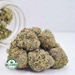 Buy Cannabis Super Nuken AAAA at MMJ Express Online Shop