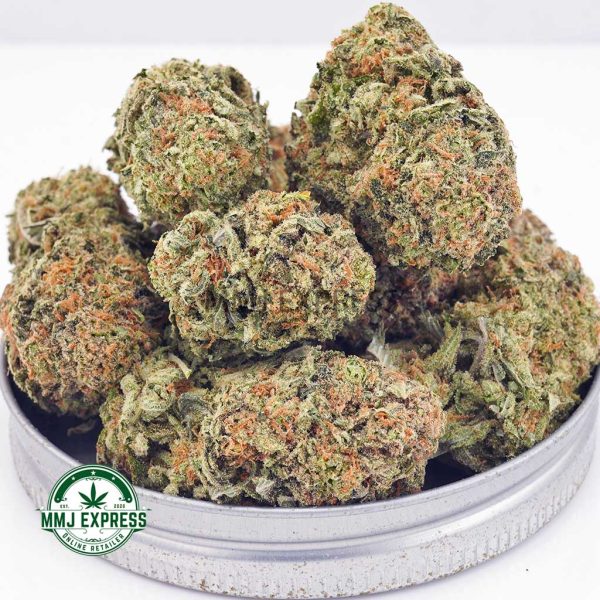 Buy Cannabis Platinum Girl Scout Cookies AAAA at MMJ Express Online Shop