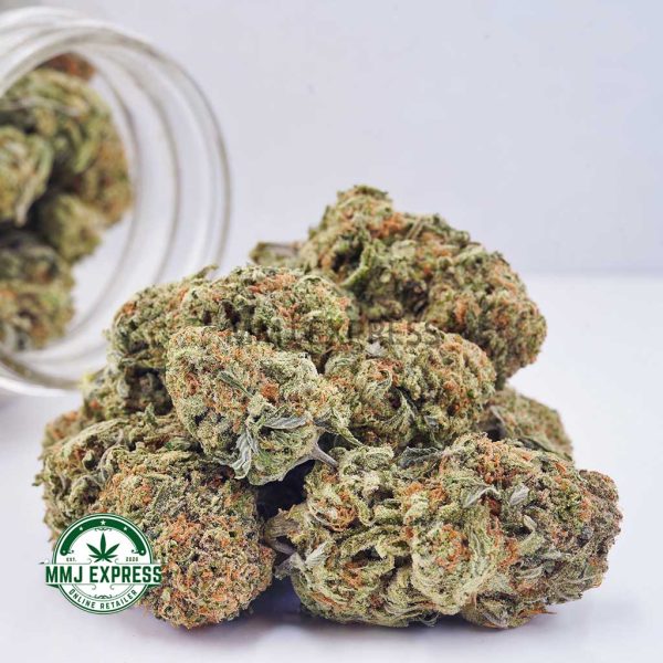 Buy Cannabis Platinum Girl Scout Cookies AAAA at MMJ Express Online Shop