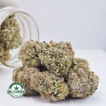 Buy Cannabis Strawberry Lemonade AAAA MMJ Express Online Shop