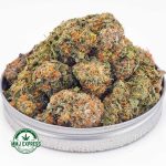 Buy Cannabis Tangerine Haze AAA MMJ Express Online Shop