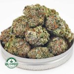 Buy Cannabis Master Jedi AAA at MMJ Express Online Shop