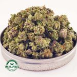 Buy Cannabis UK Cheese AAA (Popcorn Nugs) at MMJ Express Online Shop