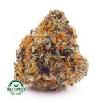 Buy Cannabis Platinum Oreoz AAA at MMJ Express Online Shop